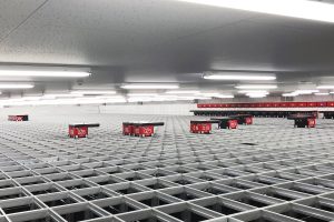 IMG_1384
